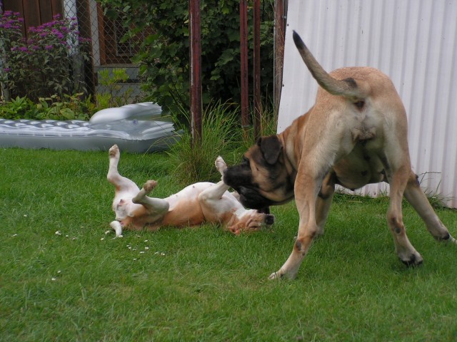 PICT0060.jpg