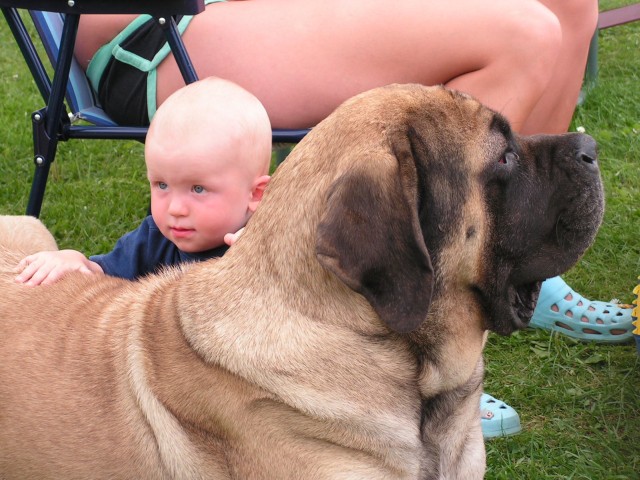 PICT0042.jpg
