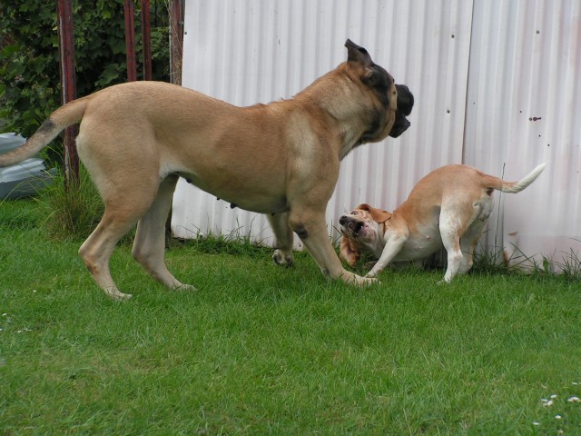 PICT0058.jpg