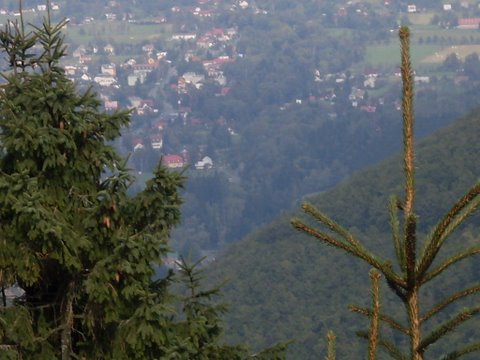 SDC12043.JPG